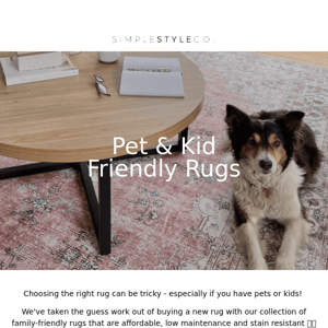 Pet & Kid-Friendly Rugs 🐶