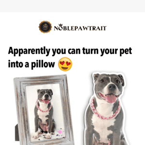 Hug Your Custom Pet Pillow 🤗🐾