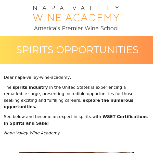 Boost Your Career with WSET Spirits & Sake Certifications 🍶🥃