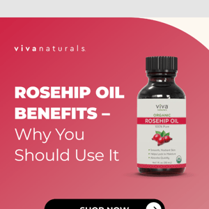 What’s to love about Rosehip Oil 🌹