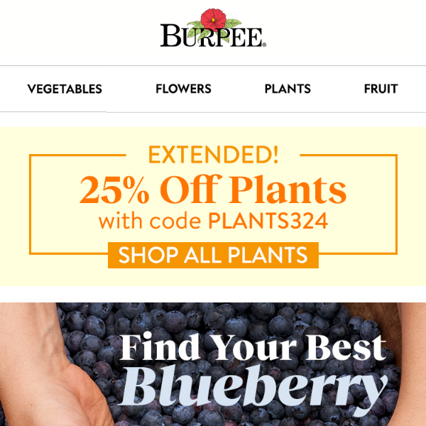 Extended! 25% off plants for one more day