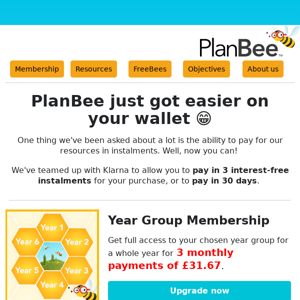 🐝 Pay in instalments? YES PLEASE 🐝