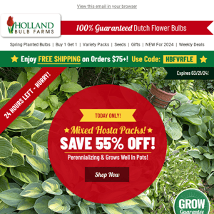 HOURS LEFT 😲 55% OFF Hosta Value Packs!