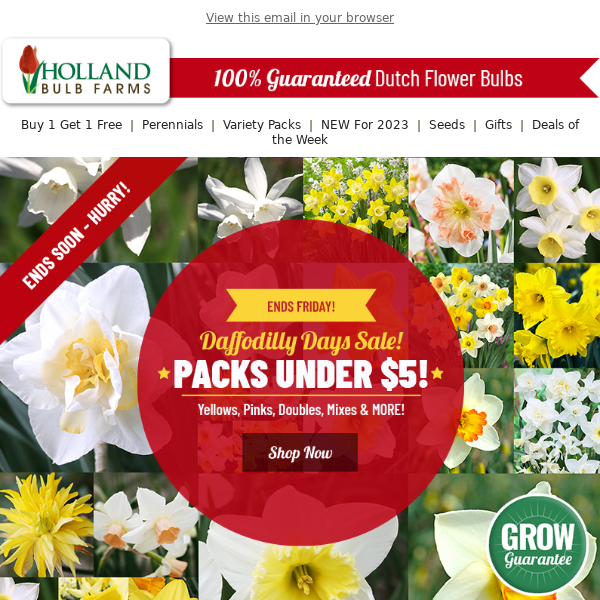 Holland Bulb Farms - Latest Emails, Sales & Deals