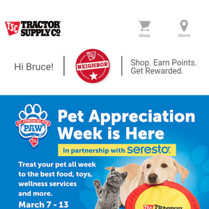 Pet Appreciation Week is Here 🐾