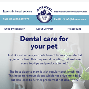 Dental care for your pet 🦷
