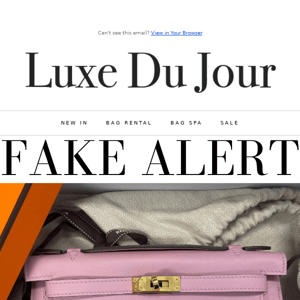 Louis Vuitton Graceful PM - Luxe Du Jour