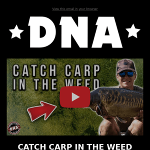 NEW FILM 🎥 CATCH CARP IN THE WEED