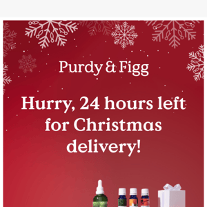 24 hours left for Christmas delivery!