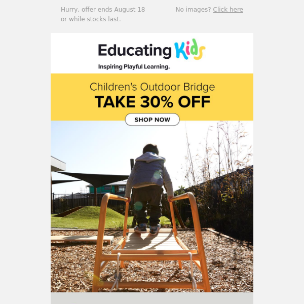 🎢Take 30% Off Children's Outdoor Bridge🎢