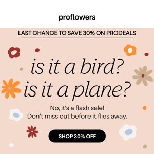 last chance to save 30% on prodeals