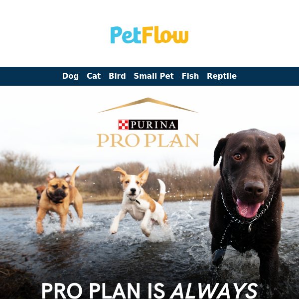 See the Pro Plan Difference: Nutrition That Keeps Pets Thriving 🐾