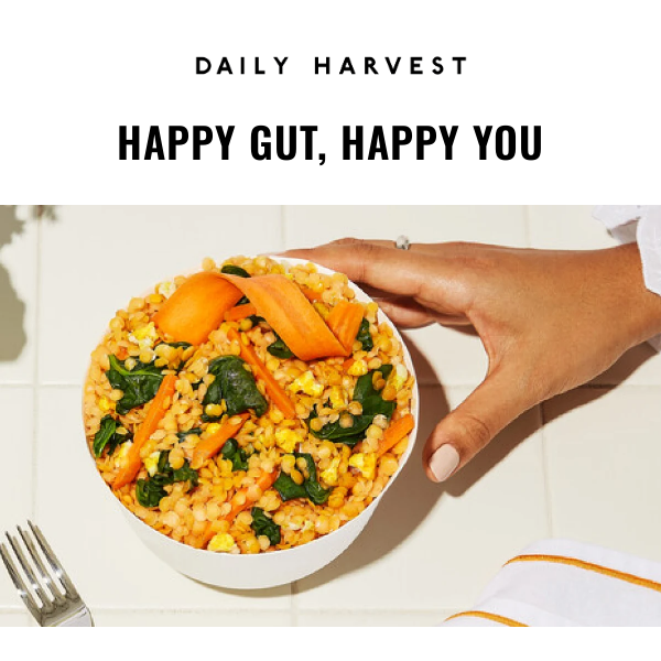 NEW | The Gut Health Collection
