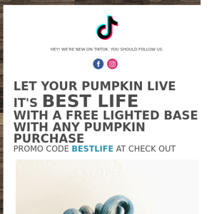 Free Lighted Pumpkin Base With Your Pumpkin Purchase 🎃