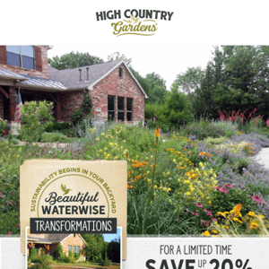 Before & After: 9 Waterwise Yard Transformations