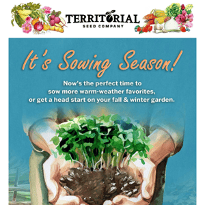 Now's the Perfect Time to Start Sowing! 🌱🌞