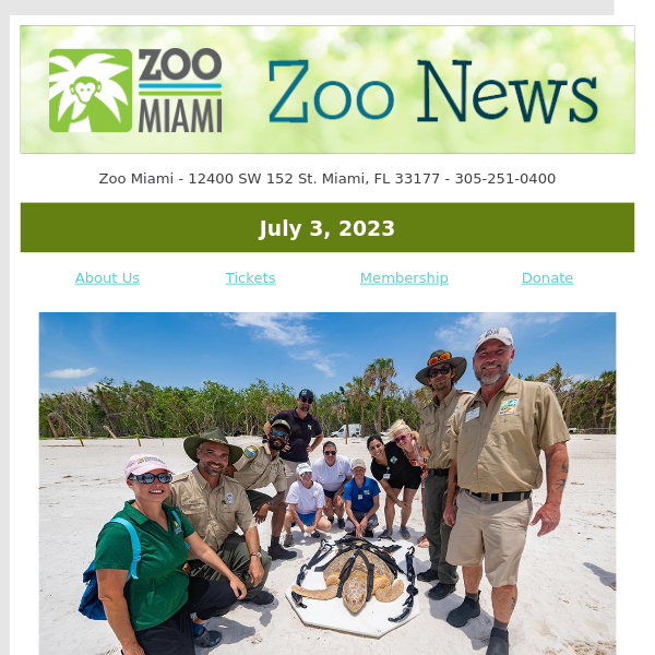 ZOO NEWS: Rehabilitated Sea Turtle Releases