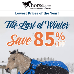 Final Chance for Winter Clearance!