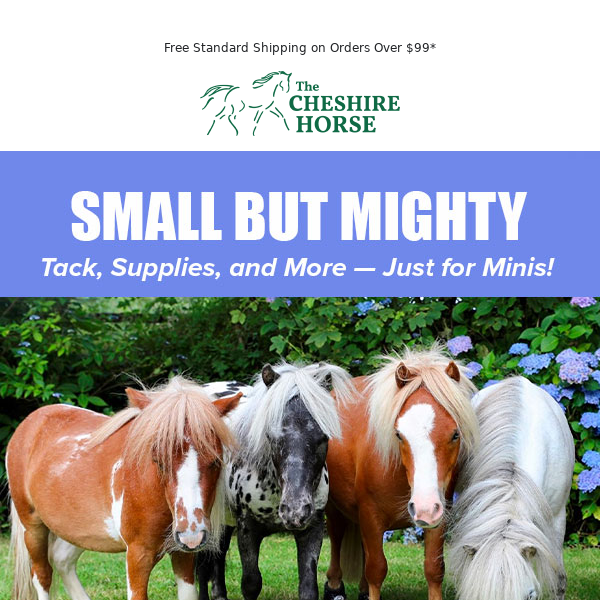 BIG Selection for Your Small Equine