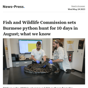 News alert: Fish and Wildlife Commission sets annual Burmese python hunt for 10 days in August; what we know
