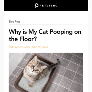 🤯Why is My Cat Pooping on the Floor?