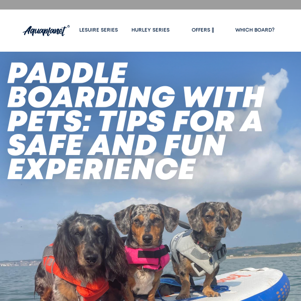 Paddle Boarding Fun With Your Furry Friends 🐾