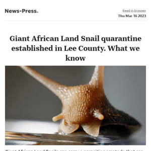 News alert: Quarantine ordered for Giant African snail, a danger to plants and humans, in Lee County