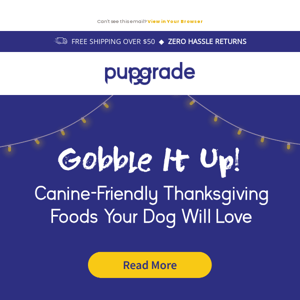 🍗 Thanksgiving Foods Your Dog Can Enjoy