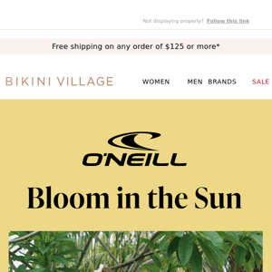 Bloom in the Sun with O’Neill