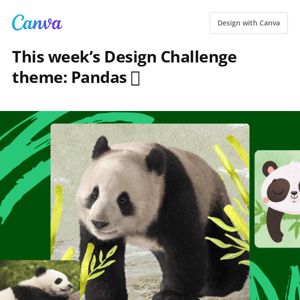 This #CanvaDesignChallenge is bear-y cute 🐼