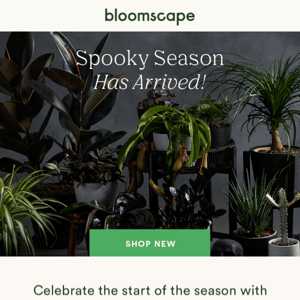 Spooky Season has Arrived at Bloomscape 👻