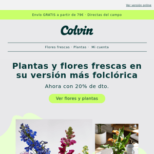 -20% en flores y plantas primaverales 🌸