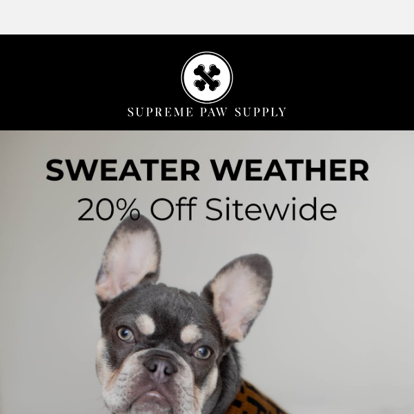 🍂It's That Time Of Year... Sweater Weather is Here! - Supreme Paw Supply