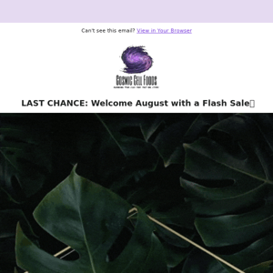 Last Chance: Join us in Welcoming August