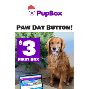 It's HERE Pup Box!! CYBER MONDAY for da pups