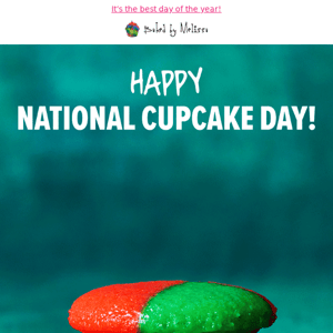 $20 off to Celebrate National Cupcake Day 🧁