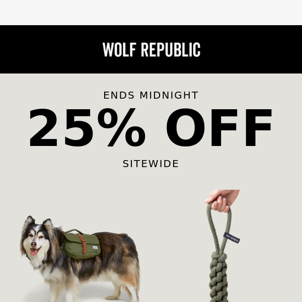 ENDS MIDNIGHT! 25% Off Sitewide