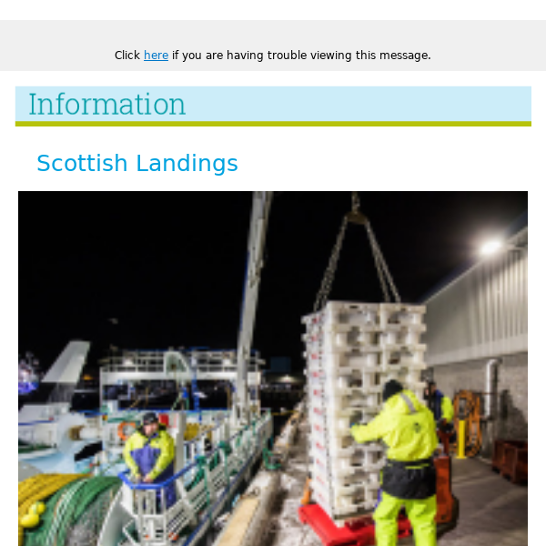 Scottish Landings & News