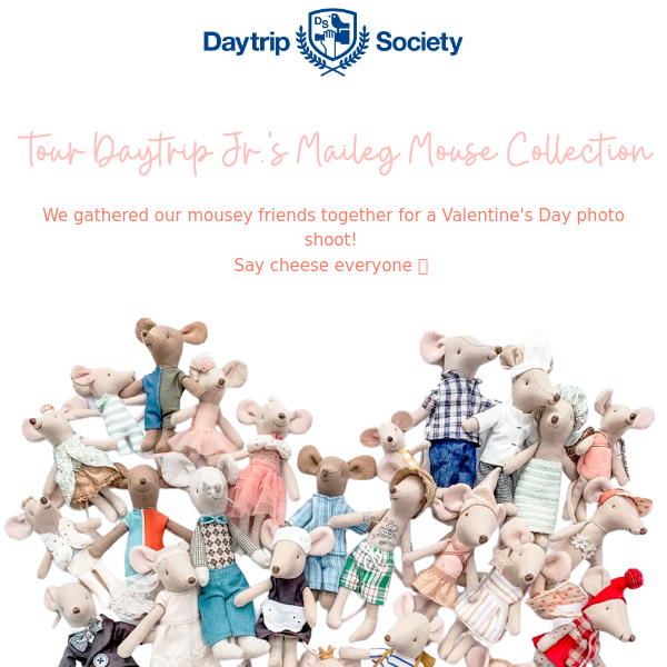 Tour Daytrip Jr.'s Maileg Mouse Collection!