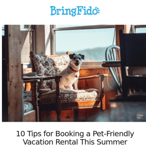 Pet Friendly Vacation Rentals in Empire, CO - BringFido