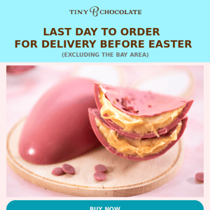 Hurry! Last Chance to Order for Easter Delivery  🐇