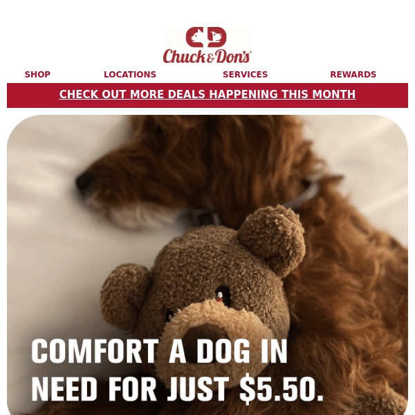 You can still donate a comfort bear this year