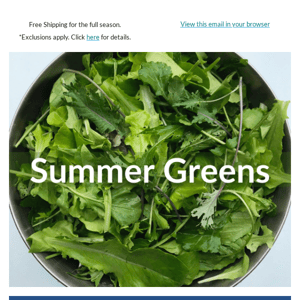 Grow delicious, bolt-resistant greens–even in the heat!