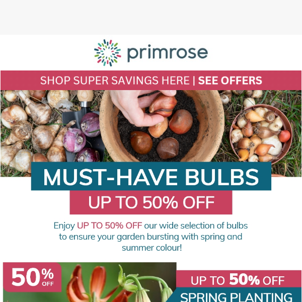 Up To 50% Off Bulbs