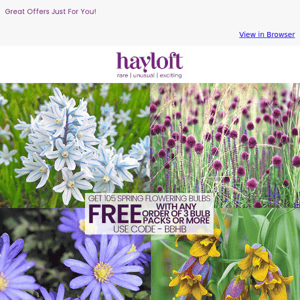 Get 105 FREE Spring Flowering Bulbs