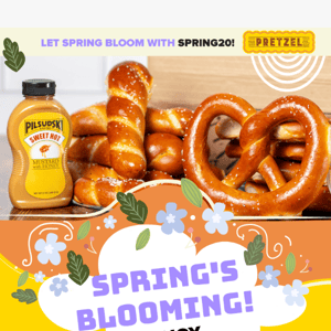 🥨🌸 Spring's Blooming! Enjoy 20% Off