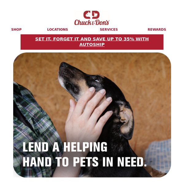 Help a rescue this holiday season