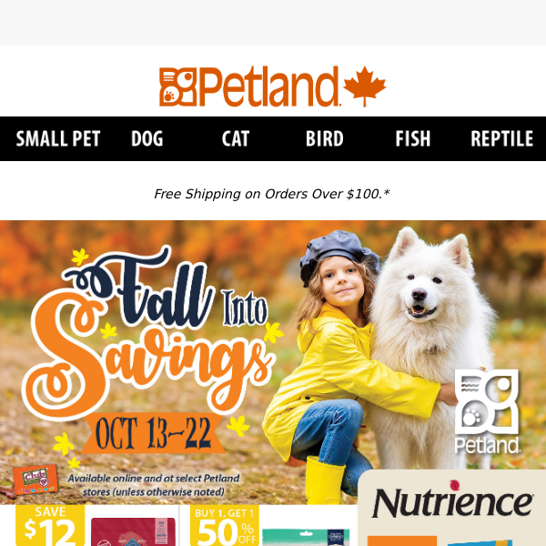 Falling Prices, Rising Tails: Grab Your Autumn Paw-sentials on Sale 🎃