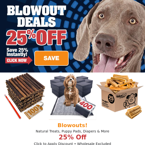 Blowout Deals > Save 25% Today!