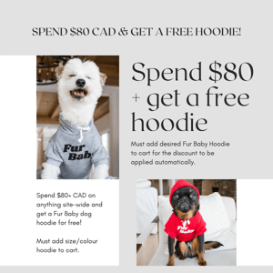 Sale ends today! Spend $80+ and get a free hoodie!